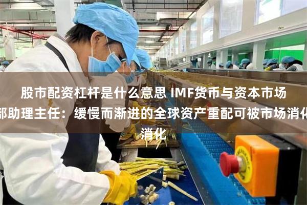 股市配资杠杆是什么意思 IMF货币与资本市场部助理主任：缓慢而渐进的全球资产重配可被市场消化