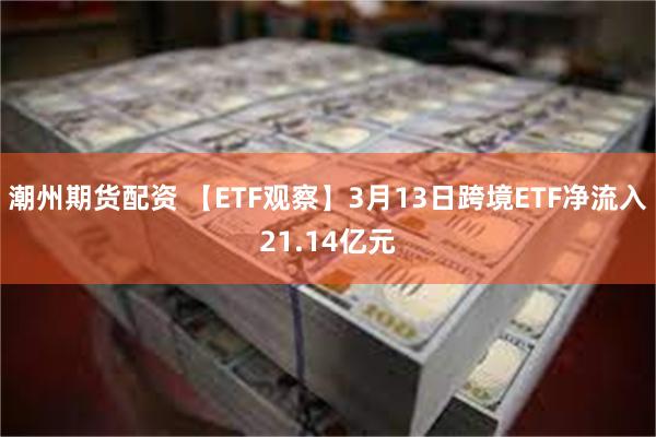 潮州期货配资 【ETF观察】3月13日跨境ETF净流入21.14亿元