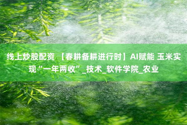 线上炒股配资 【春耕备耕进行时】AI赋能 玉米实现“一年两收”_技术_软件学院_农业