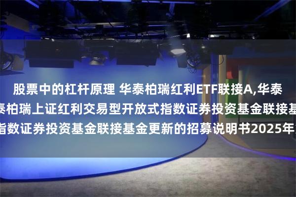 股票中的杠杆原理 华泰柏瑞红利ETF联接A,华泰柏瑞红利ETF联接C: 华泰柏瑞上证红利交易型开放式指数证券投资基金联接基金更新的招募说明书2025年第1号