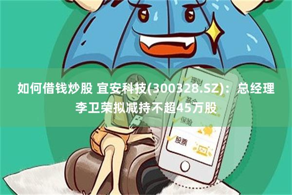 如何借钱炒股 宜安科技(300328.SZ)：总经理李卫荣拟减持不超45万股