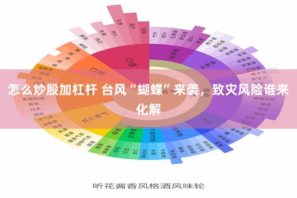 怎么炒股加杠杆 台风“蝴蝶”来袭，致灾风险谁来化解