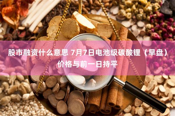 股市融资什么意思 7月7日电池级碳酸锂（早盘）价格与前一日持平
