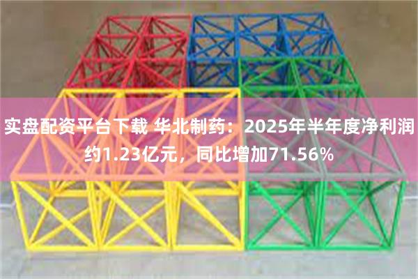 实盘配资平台下载 华北制药：2025年半年度净利润约1.23亿元，同比增加71.56%