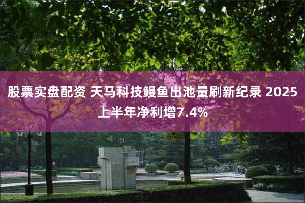 股票实盘配资 天马科技鳗鱼出池量刷新纪录 2025上半年净利增7.4%