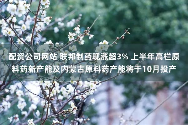 配资公司网站 联邦制药现涨超3% 上半年高栏原料药新产能及内蒙古原料药产能将于10月投产