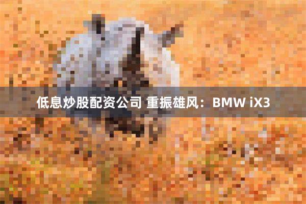 低息炒股配资公司 重振雄风：BMW iX3