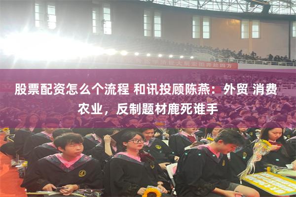 股票配资怎么个流程 和讯投顾陈燕：外贸 消费 农业，反制题材鹿死谁手